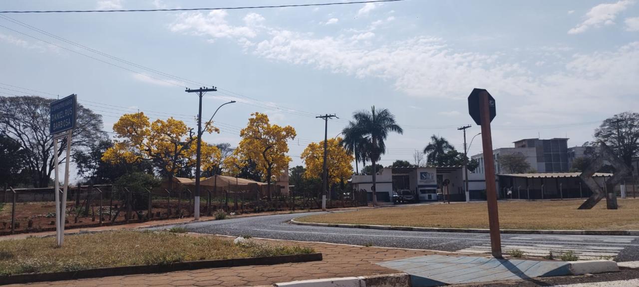 Foto 4 de 31 — Florada dos ipês dá novo colorido a Araraquara e internautas enviam fotos; veja